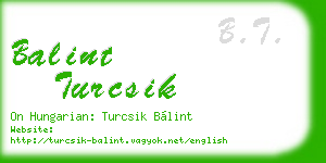 balint turcsik business card